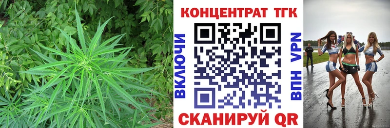 ТГК концентрат  Кызыл 