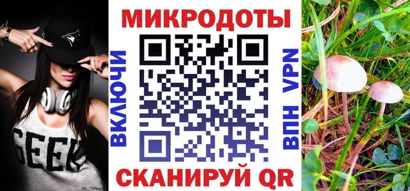 блэк спрут как зайти  Кызыл  Псилоцибиновые грибы мухоморы 